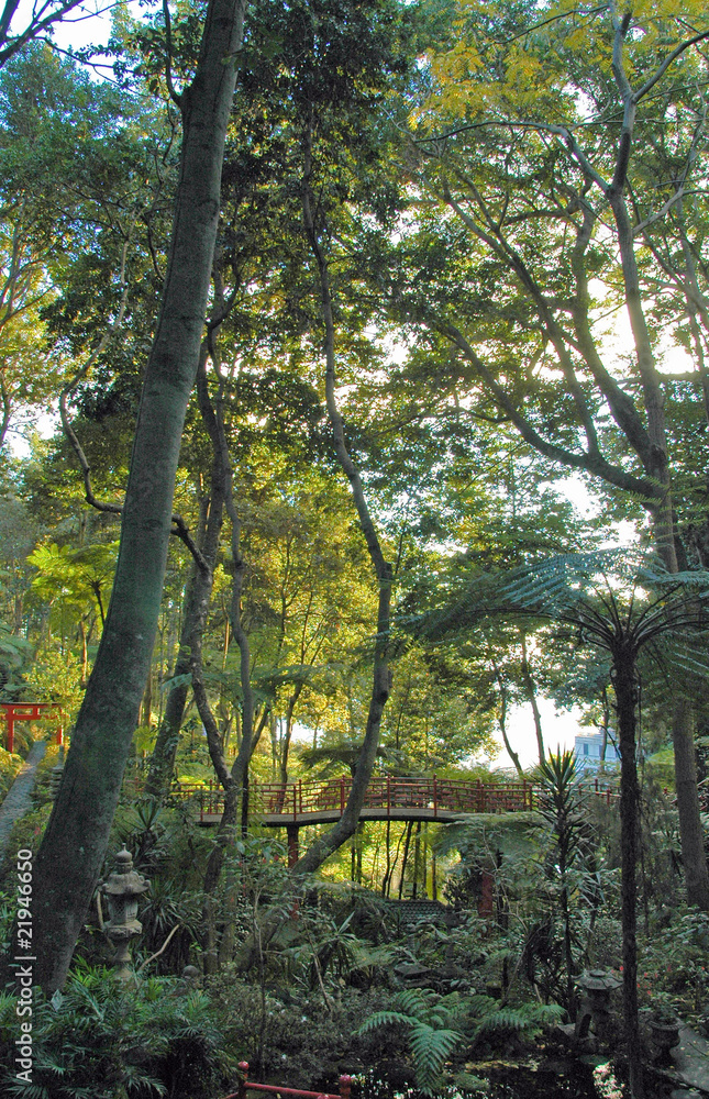 Fototapeta premium Jardin tropical Monte Palace