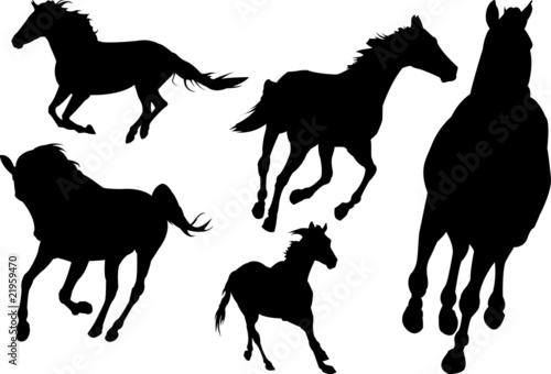 set of horses
