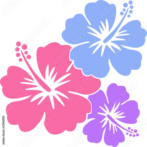 Hawaiiblumen Pastell