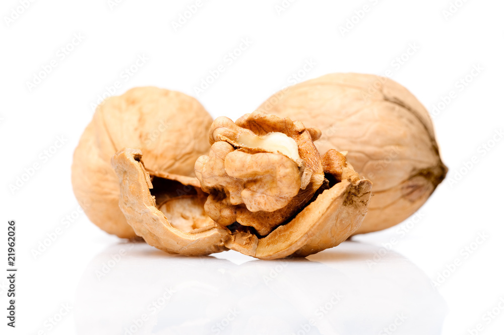 Walnut Walnut