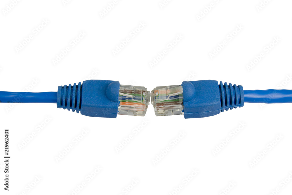 Due Cavi Lan con spinotti RJ45 Due Cavi Lan con spinotti RJ45