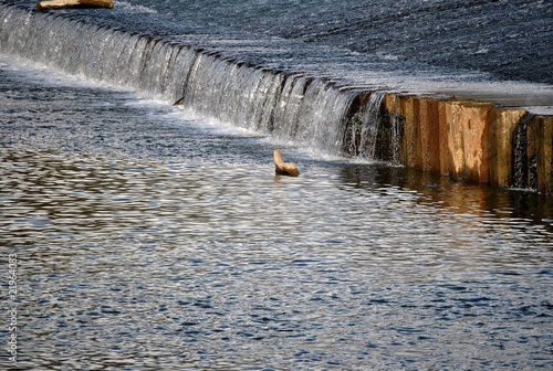 Bord du tarn