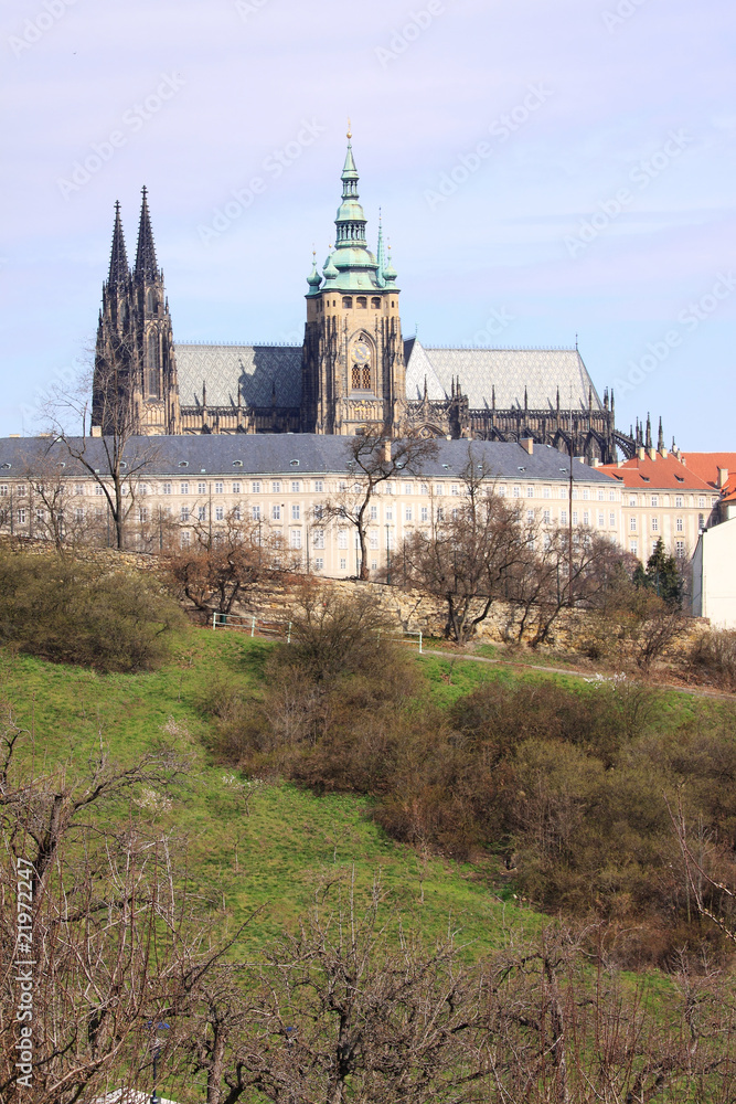 The View on the spring Prague's gothic Castle