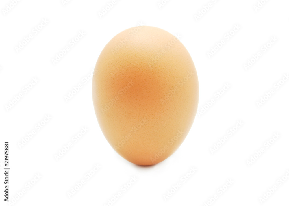 egg isolated