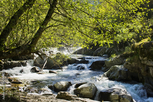 The beautiful waterfall in forest