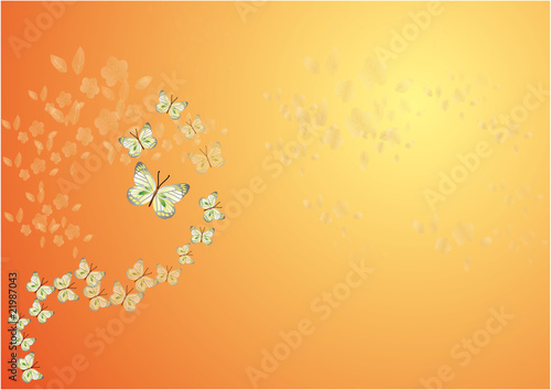 20100415_ポストカード