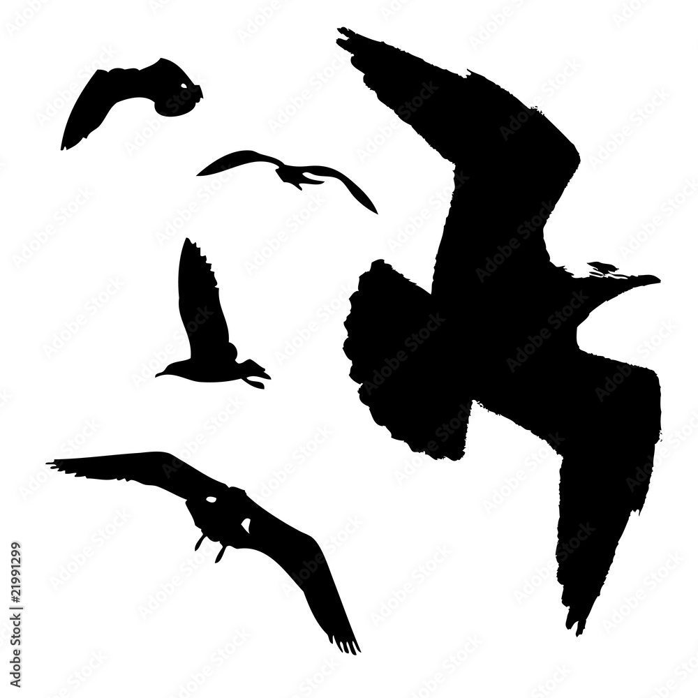 Naklejka premium Seagulls