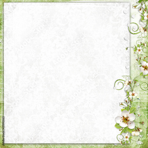 white background with apple tree flowers
