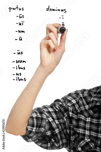 Obraz na plátne hand of a student girl declinating two latin words