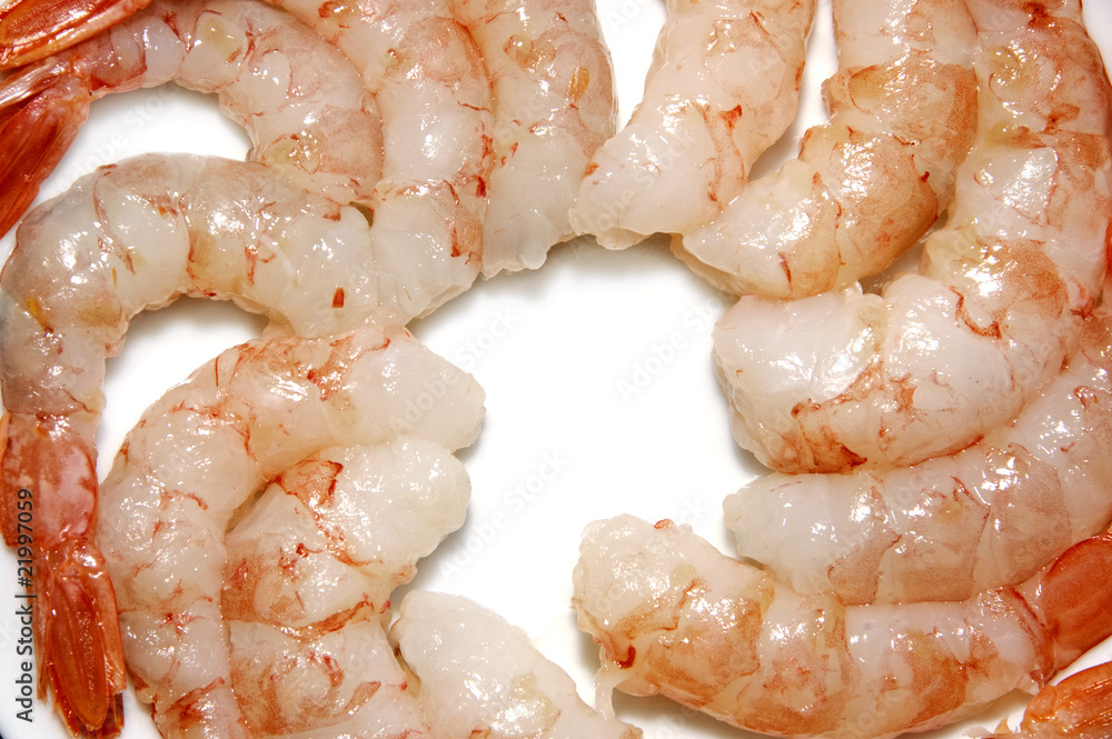 shrimps shrimps