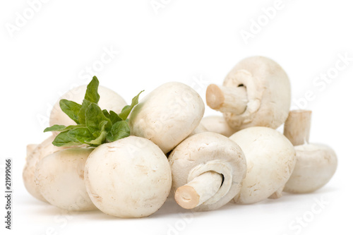 Mushroom with oregano