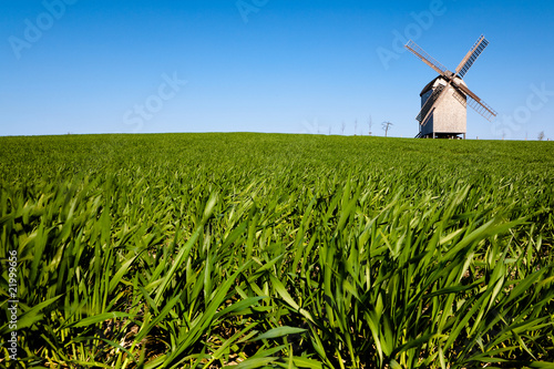 Windmühle photo