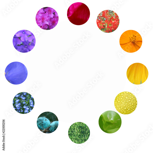 flower color wheel