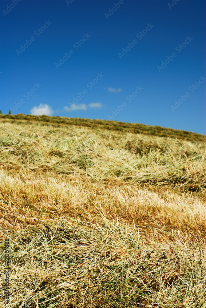 Hay over the hillside