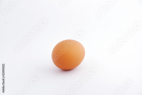 A brown egg with white background.