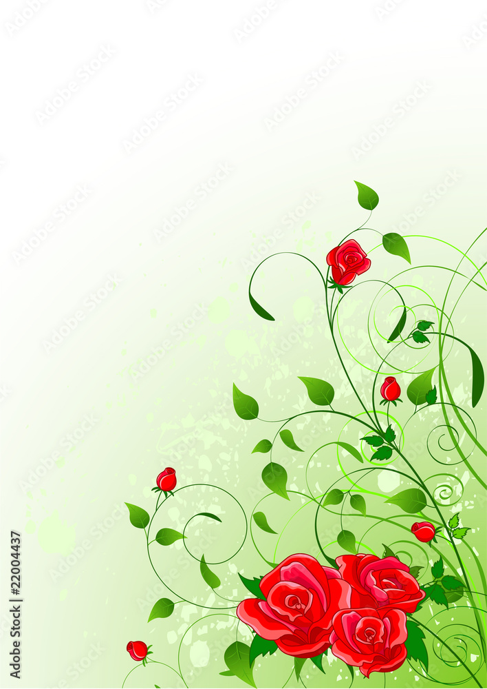 Roses floral background