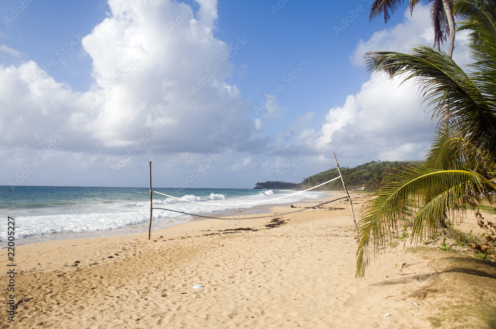 coconut tree desolate beach long bag corn island nicaragua