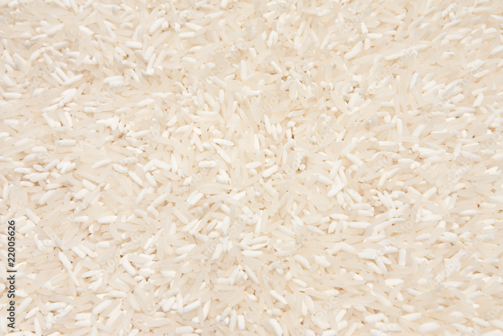 Rice grain Rice grain