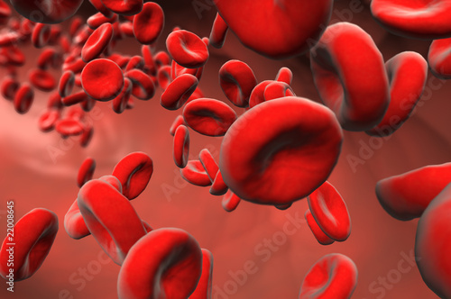 sangre