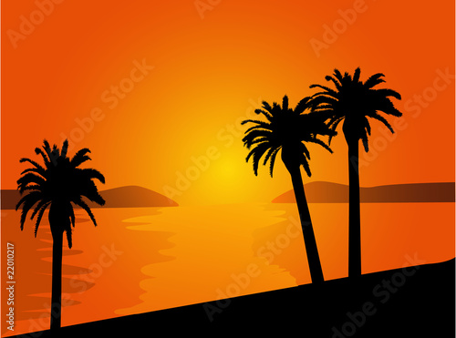 beach with palm trees at sunset.