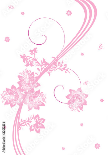 pink flowers and lines illustration