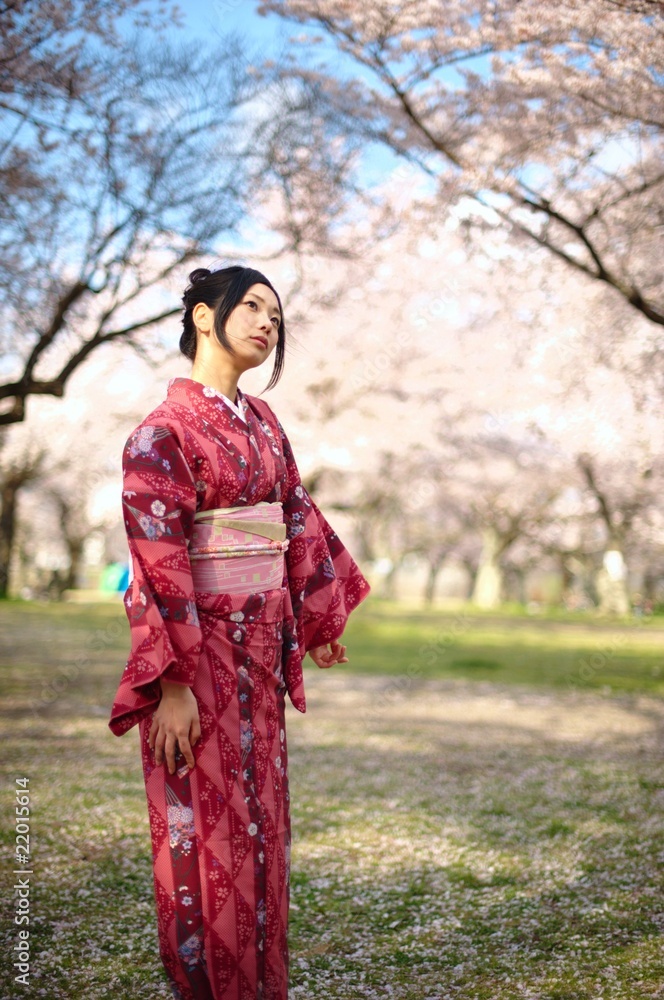 桜 着物 桜 着物