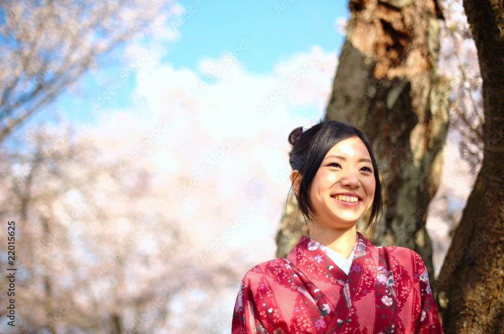 桜 着物 桜 着物