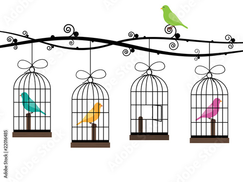 bird cages
