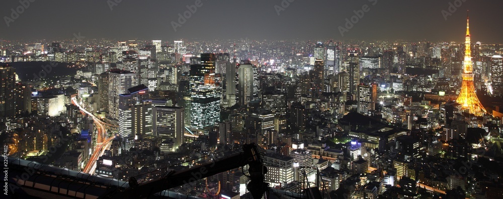 Fototapeta premium Oświetlone Tokio City w Japonii nocą z wysokości
