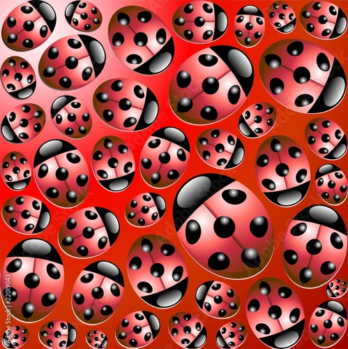 Coccinelle Porta Fortuna Sfondo-Ladybirds Background-Vector