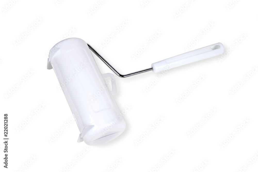 roller for a paint roller for a paint