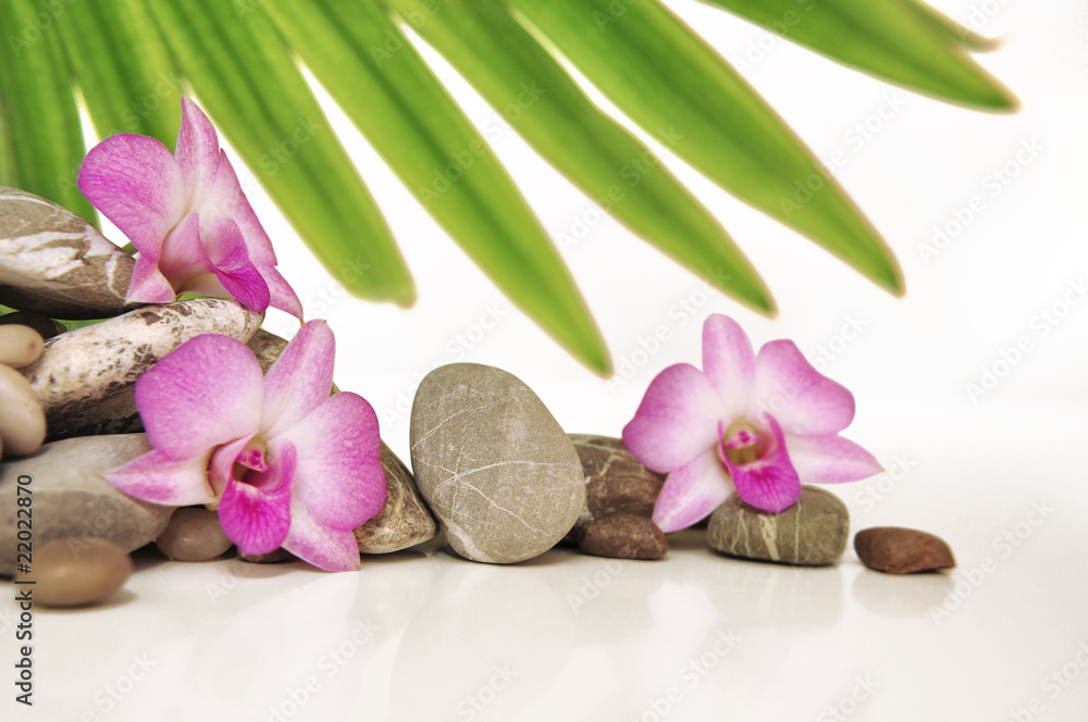 Steinreihe mit Orchideen + Palmenblatt Steinreihe mit Orchideen + Palmenblatt
