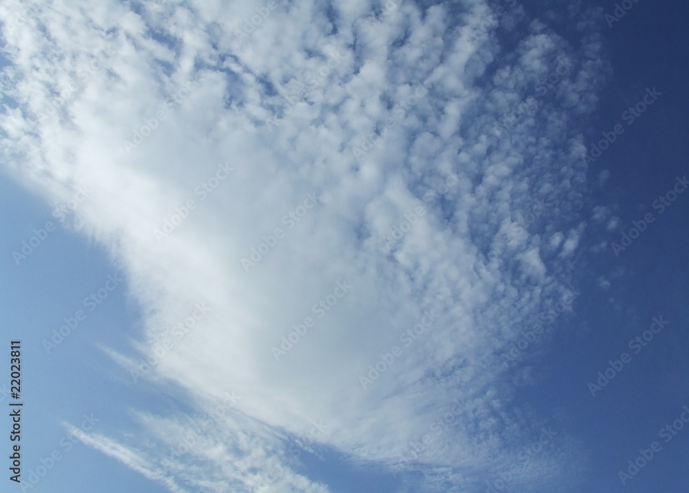 Fototapeta premium clouds in the sky