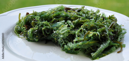 algues ...régime végétarien