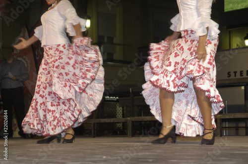 Flamenco 4 photo