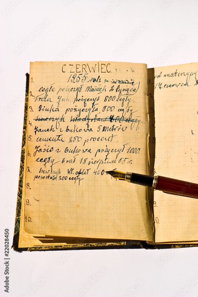 Naklejka premium old book