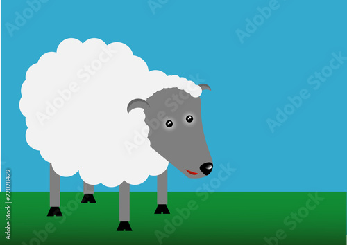 lamb
