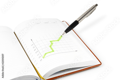 Wallpaper Mural Business diary of skin on a white background Torontodigital.ca