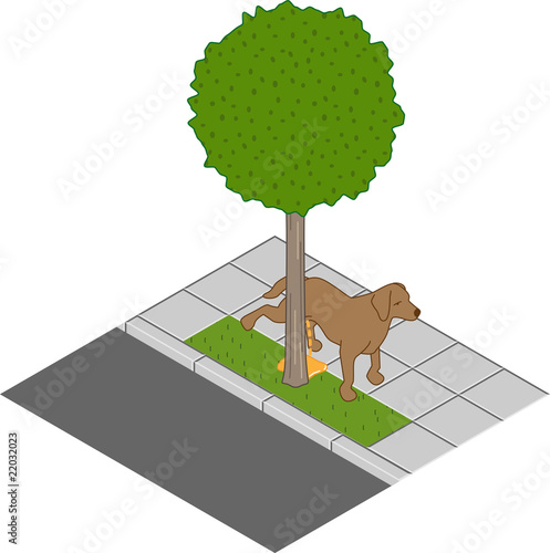 Hundepipi