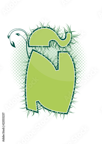 letra Ñ alfabeto ecology