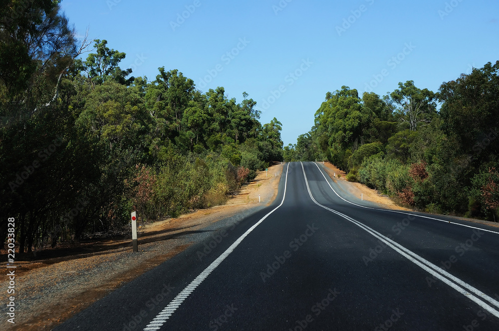road passing through the bush road passing through the bush