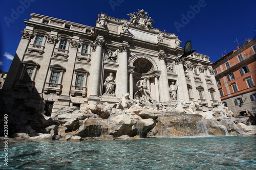 Rome: flying pigeon and Trevi Fountain