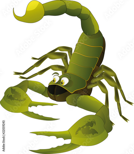 Nice scorpion