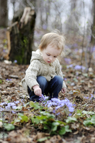 Little girl touching first flowers of spring
