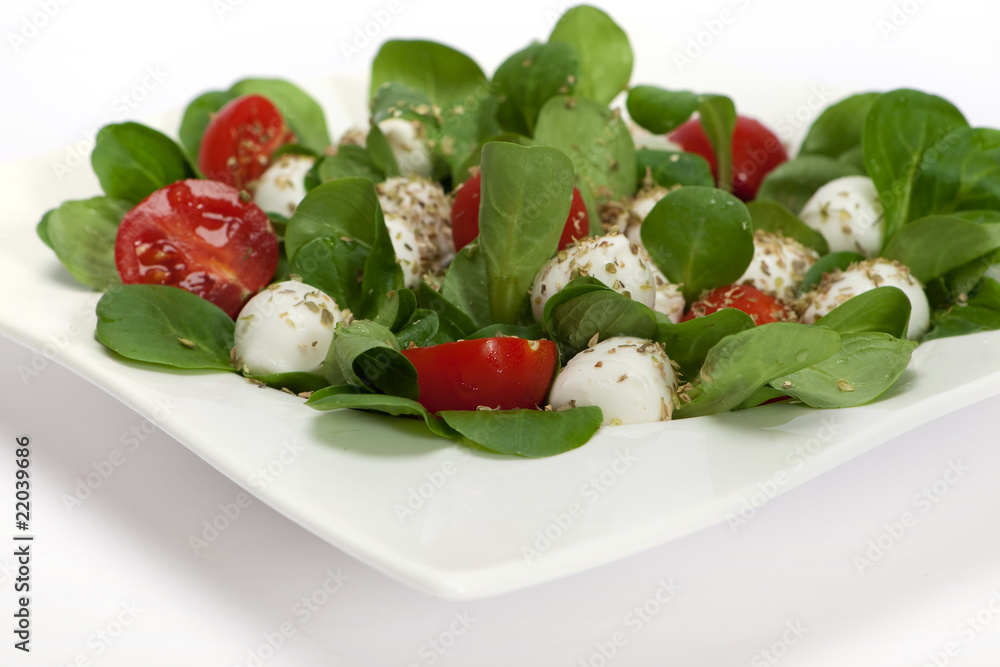Mozzarella Mozzarella