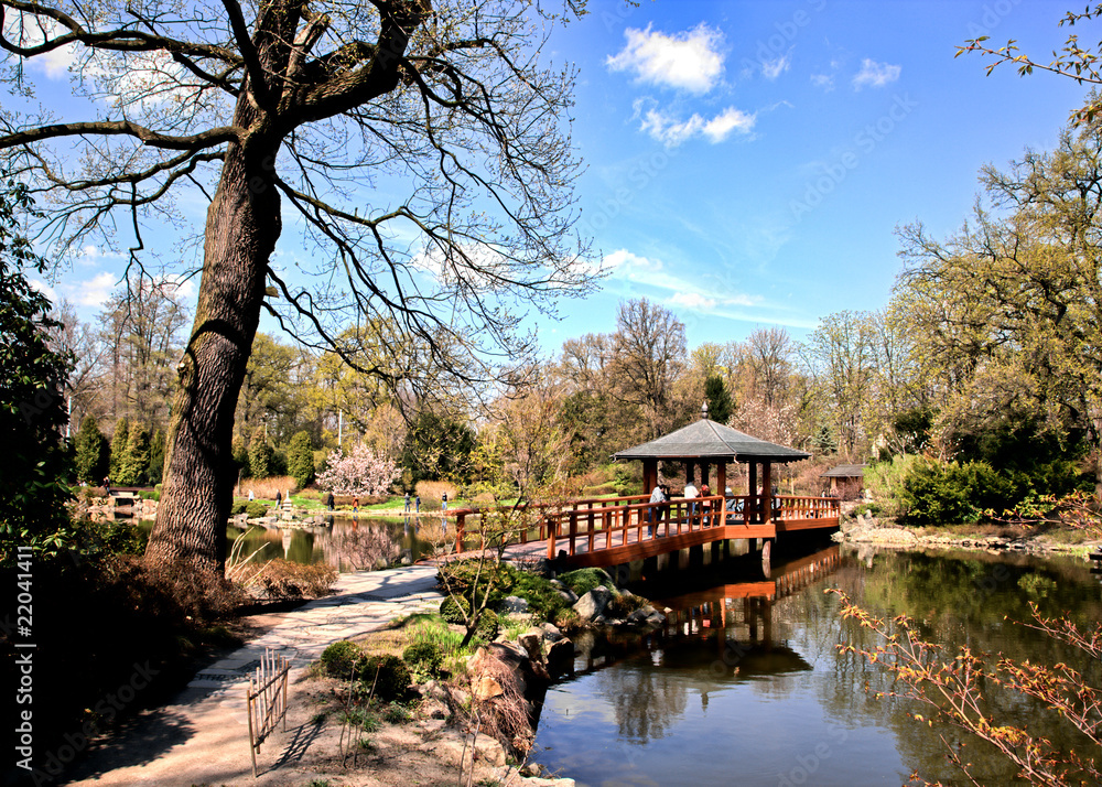 Obraz premium Japanese garden