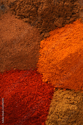 Indian spice photo