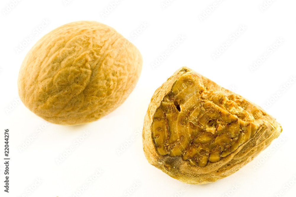 Fototapeta premium Muskatnuss