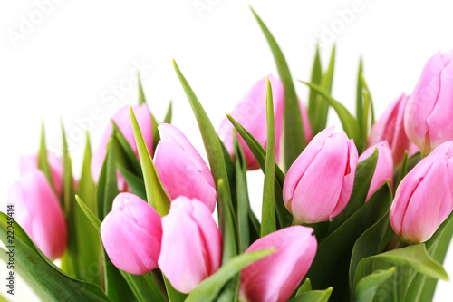 Fototapeta Naklejka Na Ścianę i Meble -  pink