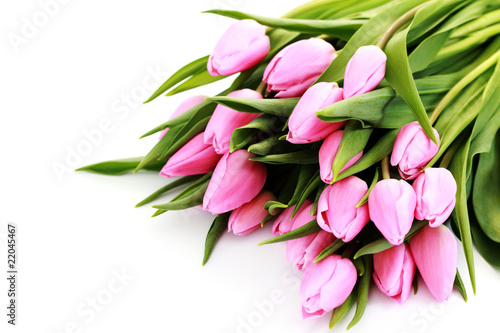 Fototapeta Naklejka Na Ścianę i Meble -  pink